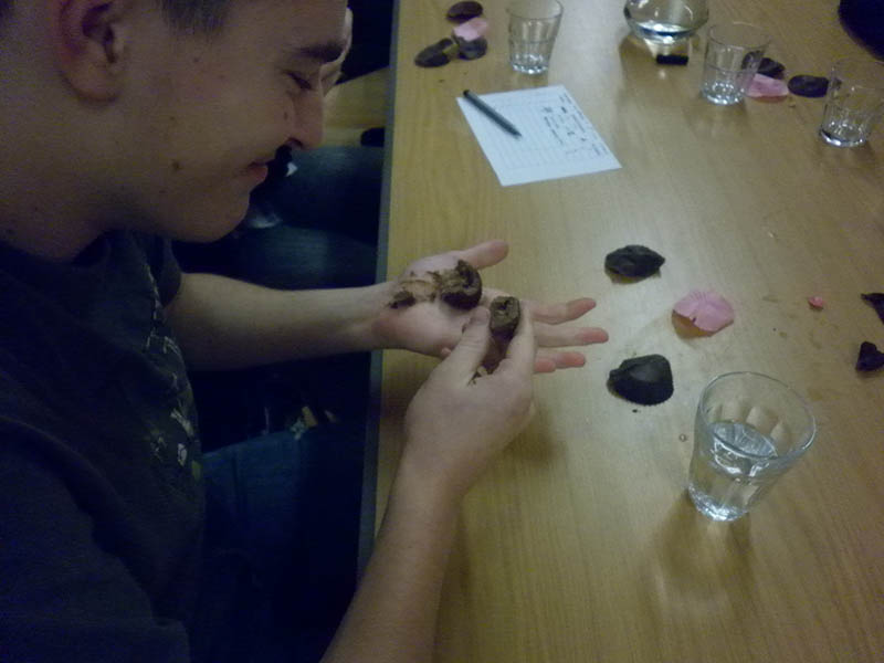 Chocolate Tasting